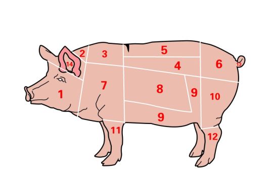 家猪的体脂率仅有15%?或是测量方法不同(3)_